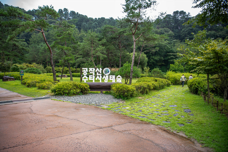 ????? ????_????? ?��?.jpg