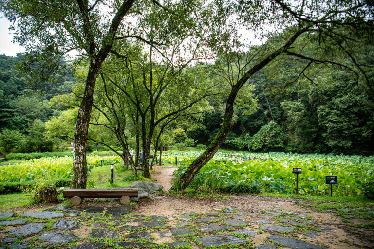 ????? ????2_????? ?��?.jpg