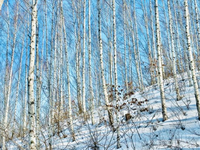 ���۳�����_����� ������ �ϻ��� �߰�-1.JPG