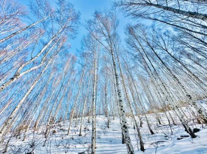 ���۳�����_����� ������ �ϻ��� �߰�-2.JPG