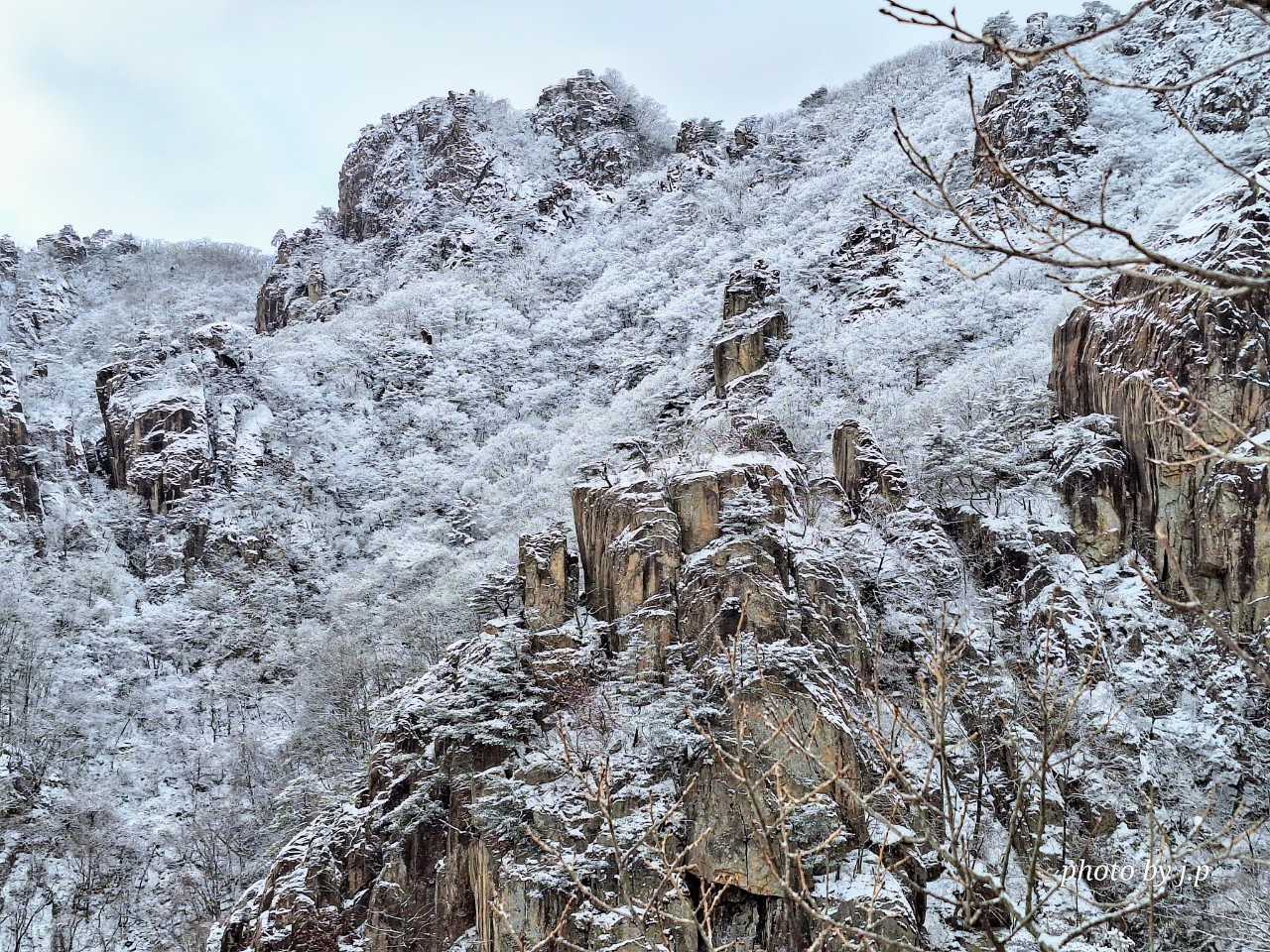 ???? ??��? ???? (15).jpg