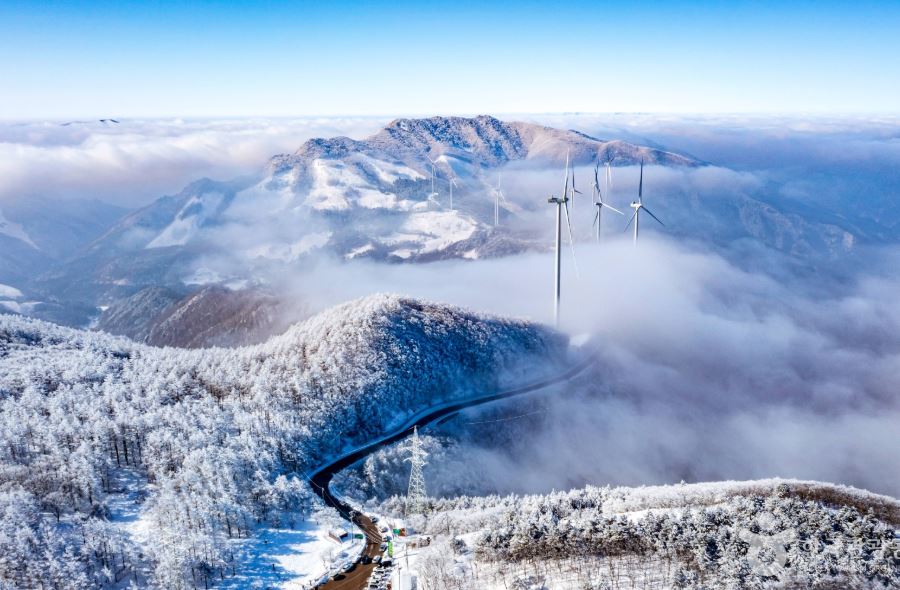 ???? ??????_????????????? ?????????-????.JPG