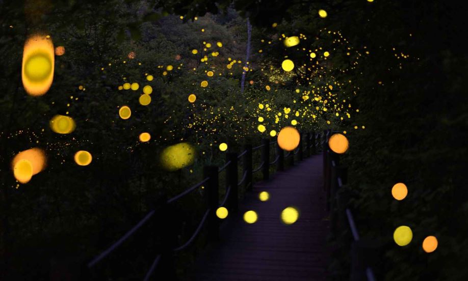 ??????????��???_????????????? ?????????-????.JPG