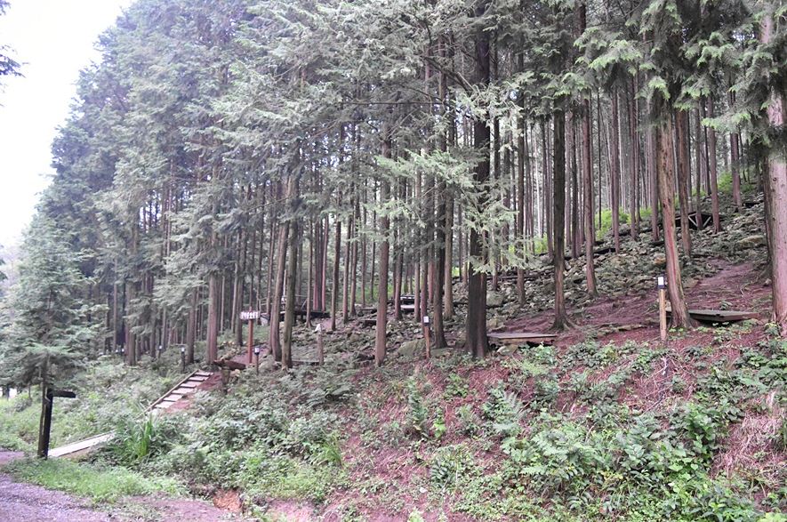 ??????????_???????? ??????? ??��?.JPG