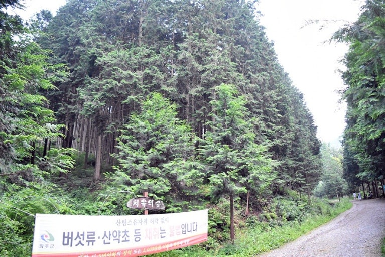 ??????????2_???????? ??????? ??��?.jpg