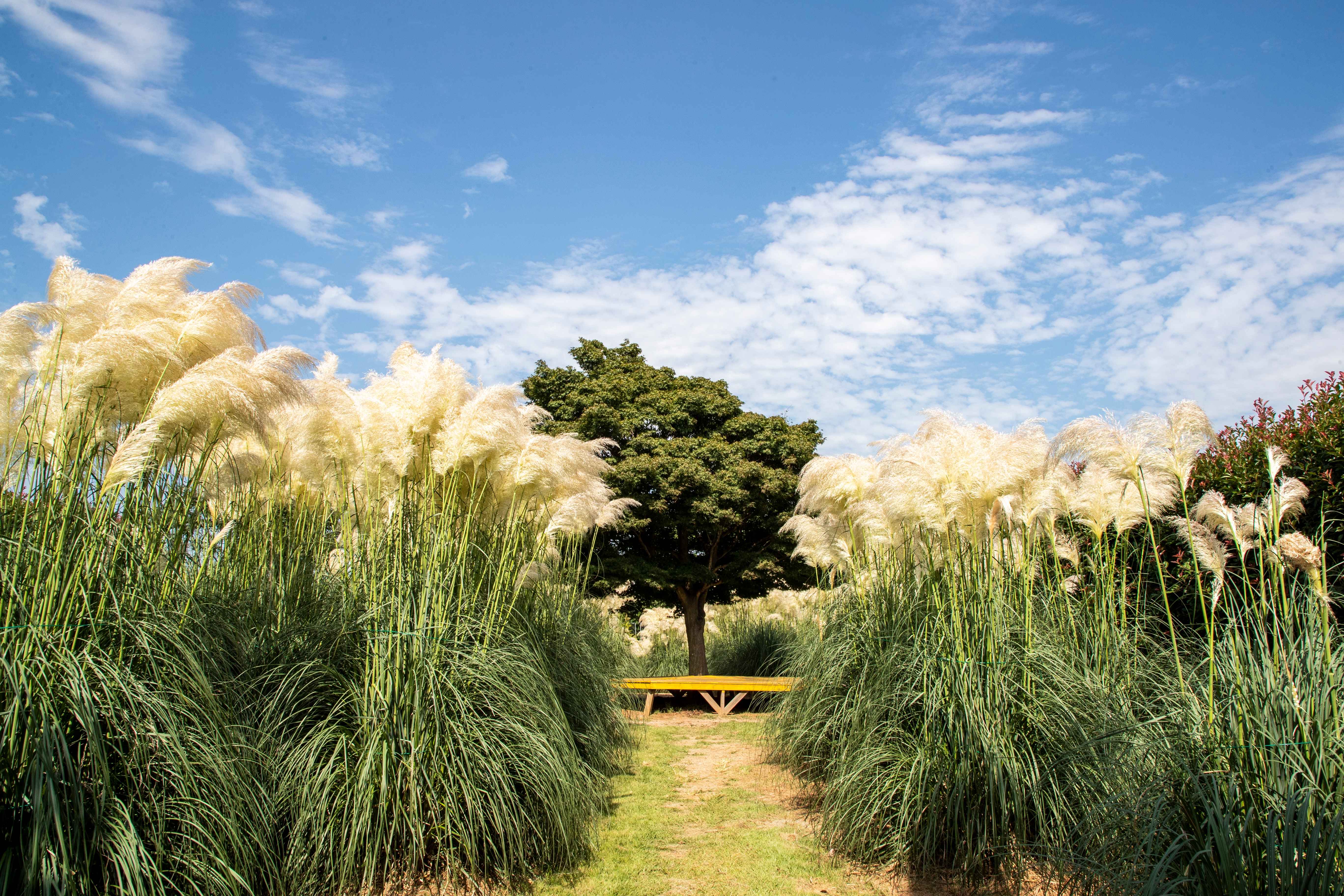 Type1_u??????_??????????? ?????_fxw4ma.jpg