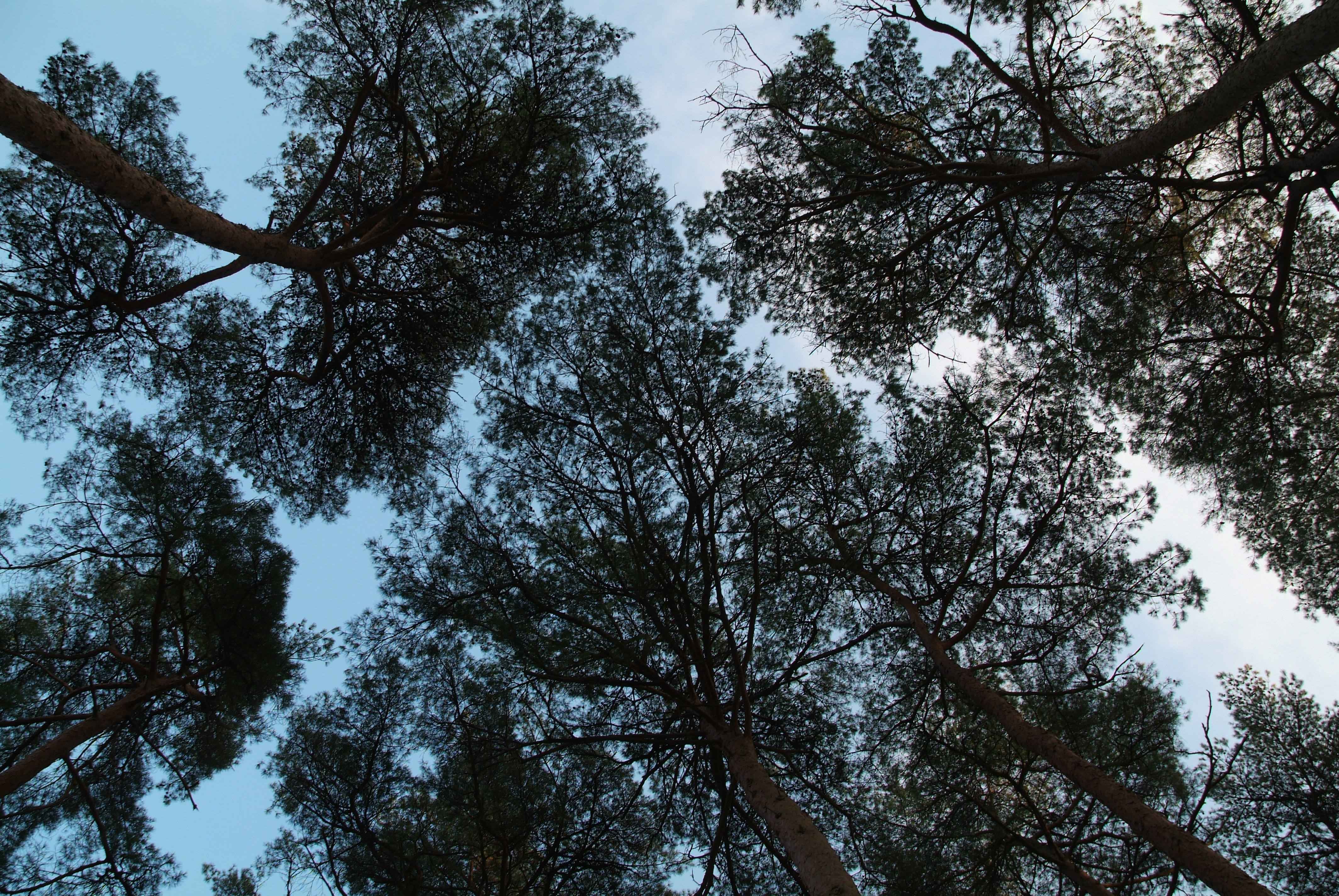 Type1_?????????_??????????? ?????_Us8yba.jpg