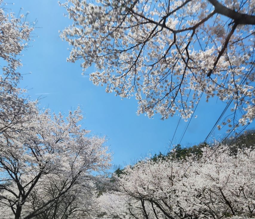 ?????_??��? ??????? ?��? ??? ????-2.JPG