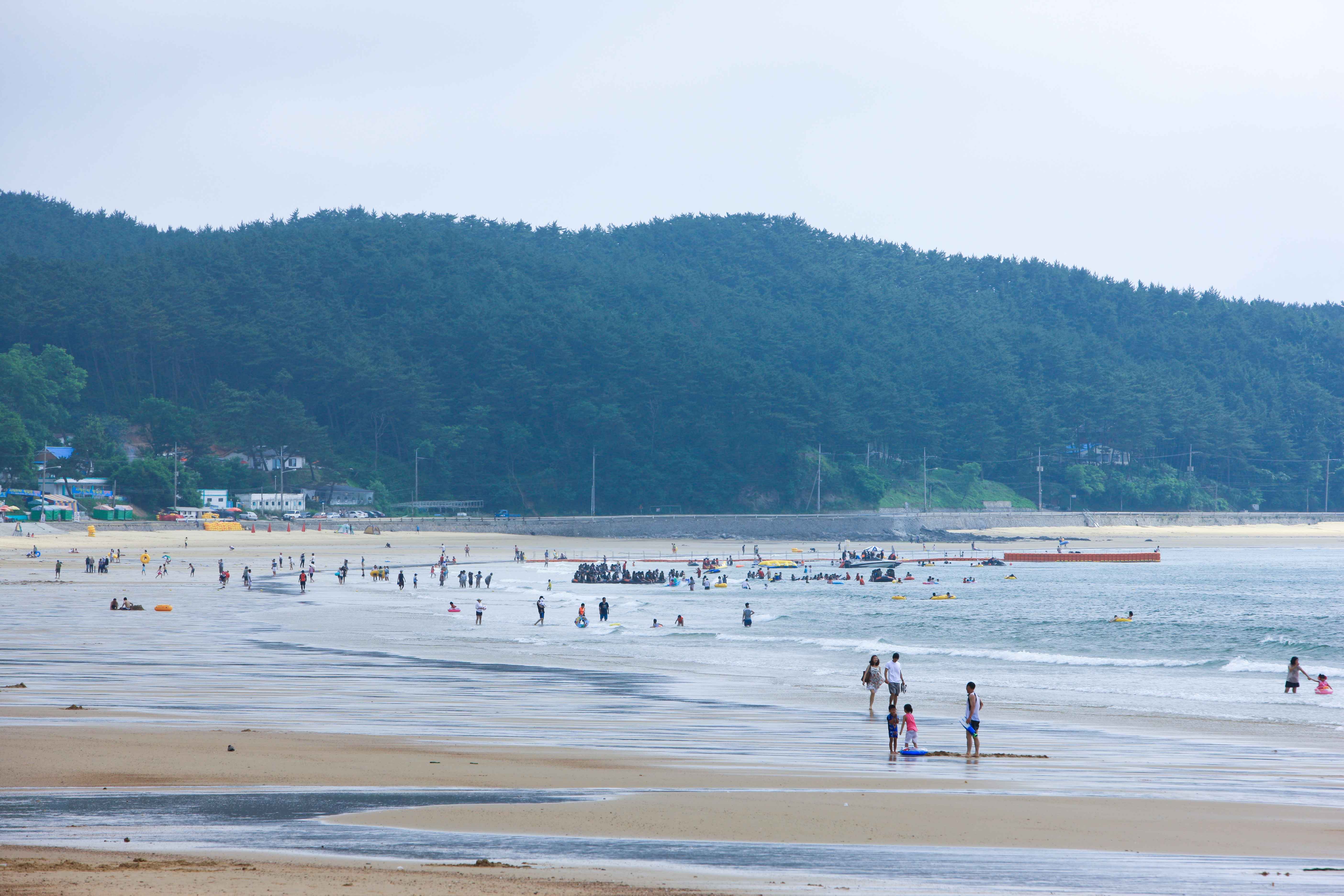 Type1_?????????????_??????????? ?????_41KwZa.jpg