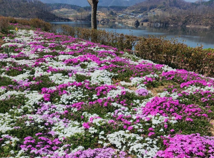 ?????_??��? ??????? ?��? ??? ????.JPG