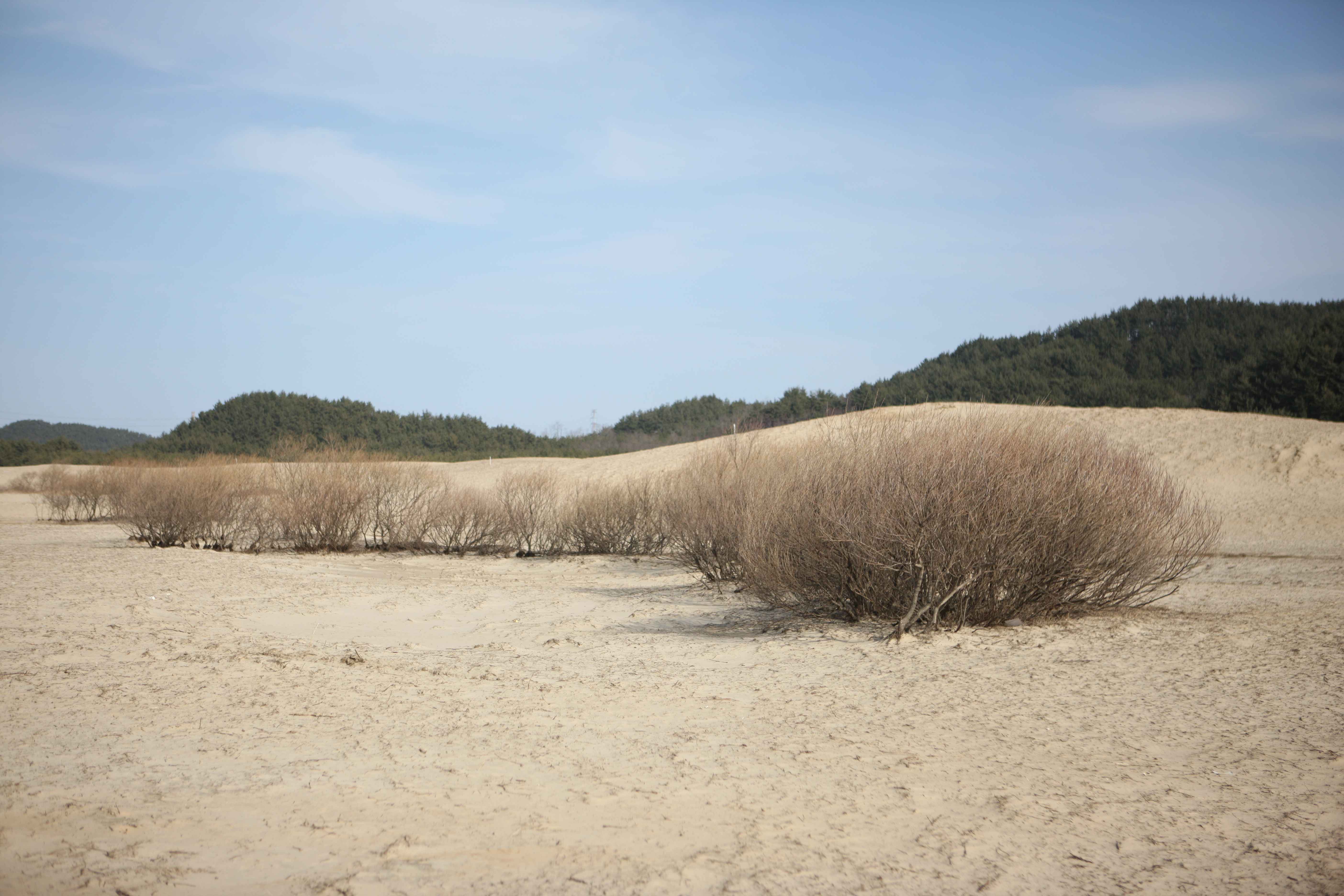 Type1_?��? ??��? ????_??????????? ?????_wQf8Oa.jpg