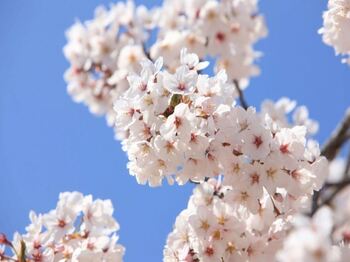 ���ɻ���_���ѱ��������� �����ڸ���-�ѱ��������� �ڼ���.jpg