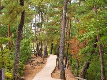 Type1_???? ??(????)_????????_9NUdWa.jpg