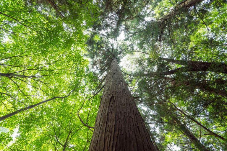 ��ɻ� �ڿ��޾縲_���ѱ��������� �����ڸ���-�ѱ��������� ����ȣ-2.JPG