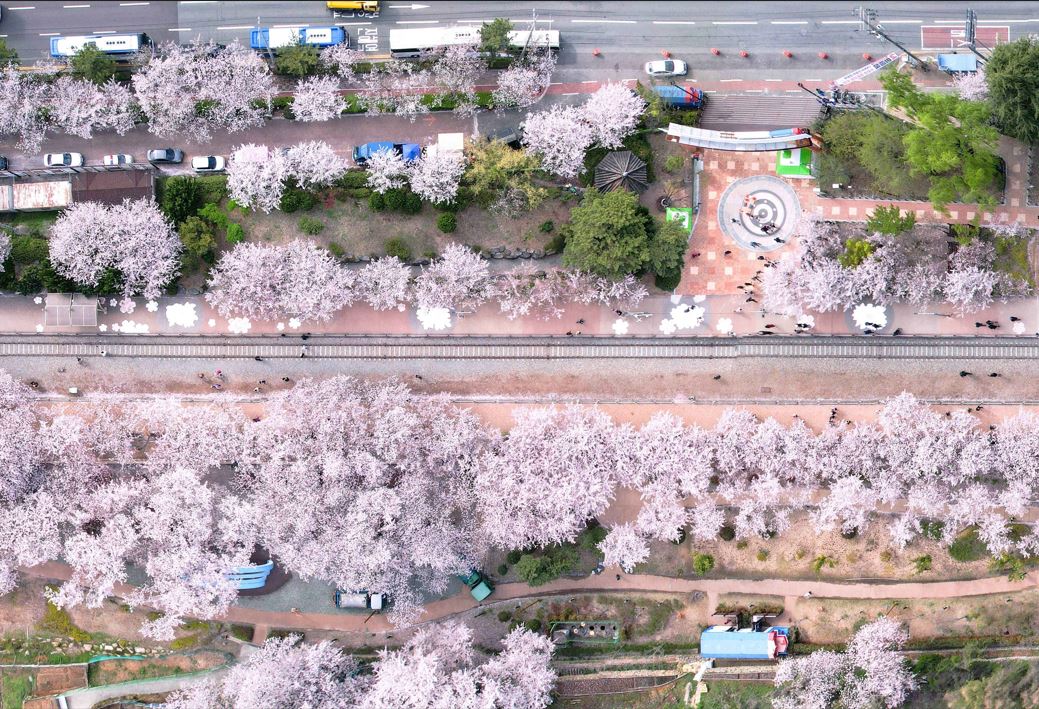 ���� ������_���ѱ��������� �����ڸ���-���̺� ��Ʃ���-2.JPG