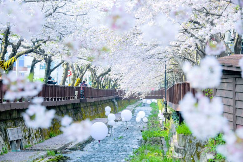 ���� ������_���ѱ��������� �����ڸ���-���̺� ��Ʃ���-3.JPG