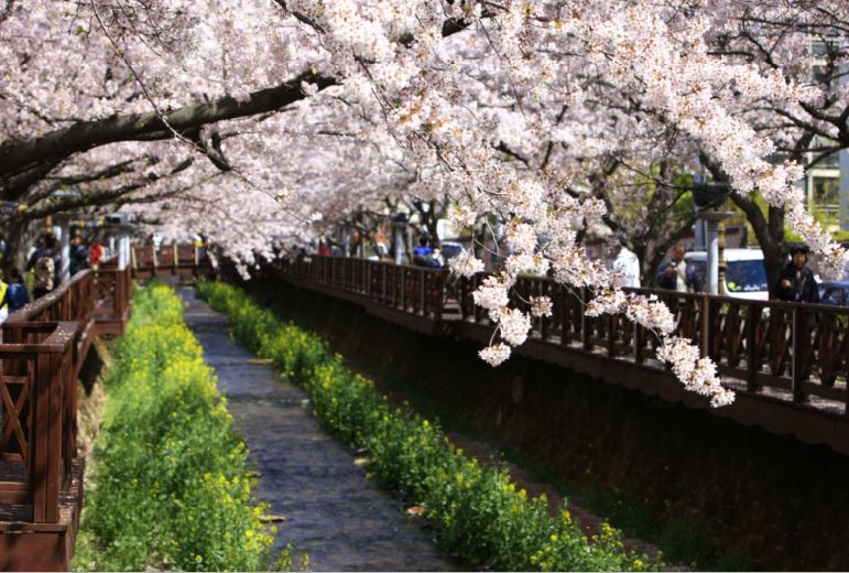 ���� ������_���ѱ��������� �����ڸ���-�ѱ��������� ����ȣ.JPG