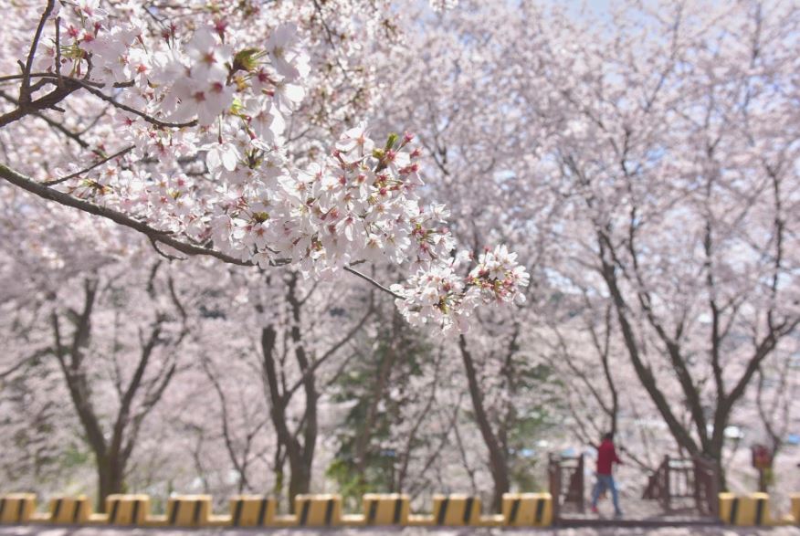 ���红��_������ ������ �ظ� ���� ���õ� �ȴ���.JPG