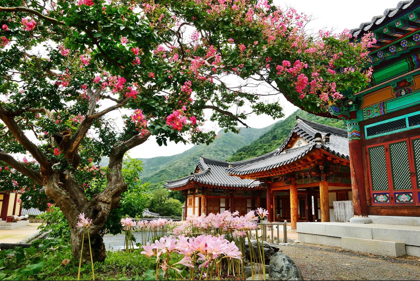 ǥ��� �����ڸ��� �ѱ��������� �̹���.JPG