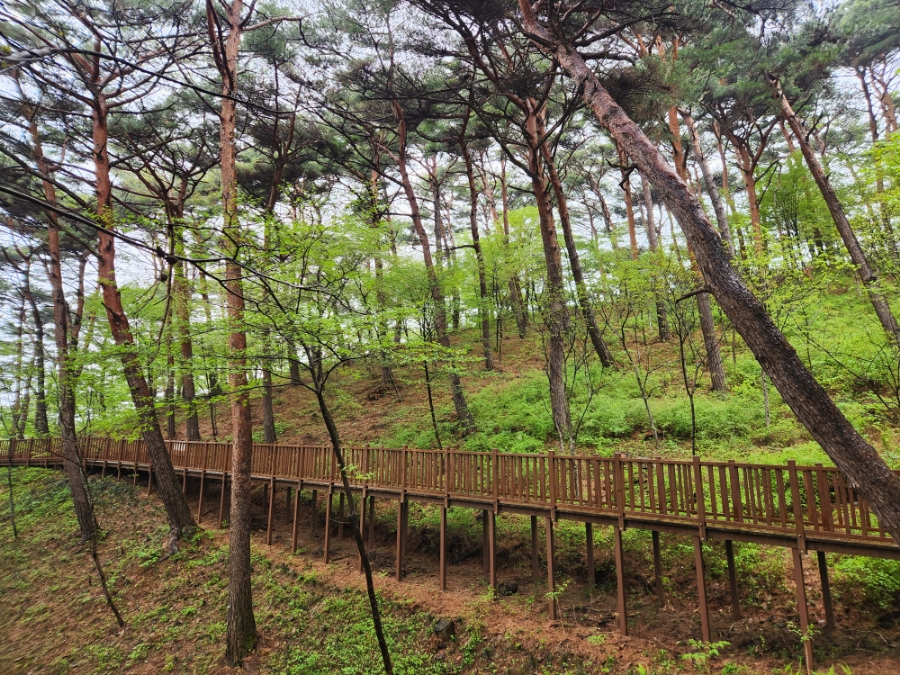 ?��? ??? ?????_realangel4.jpg