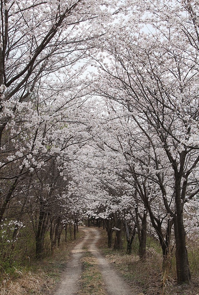 �ݻ� ������ ��� ������ Ʈ��ŷ_����.jpg