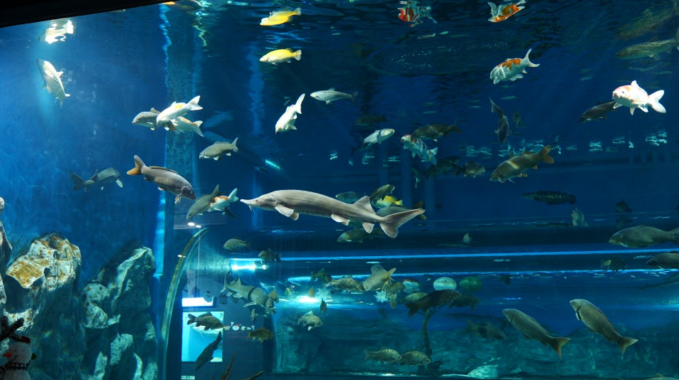 ??? ????????_???��u.PNG