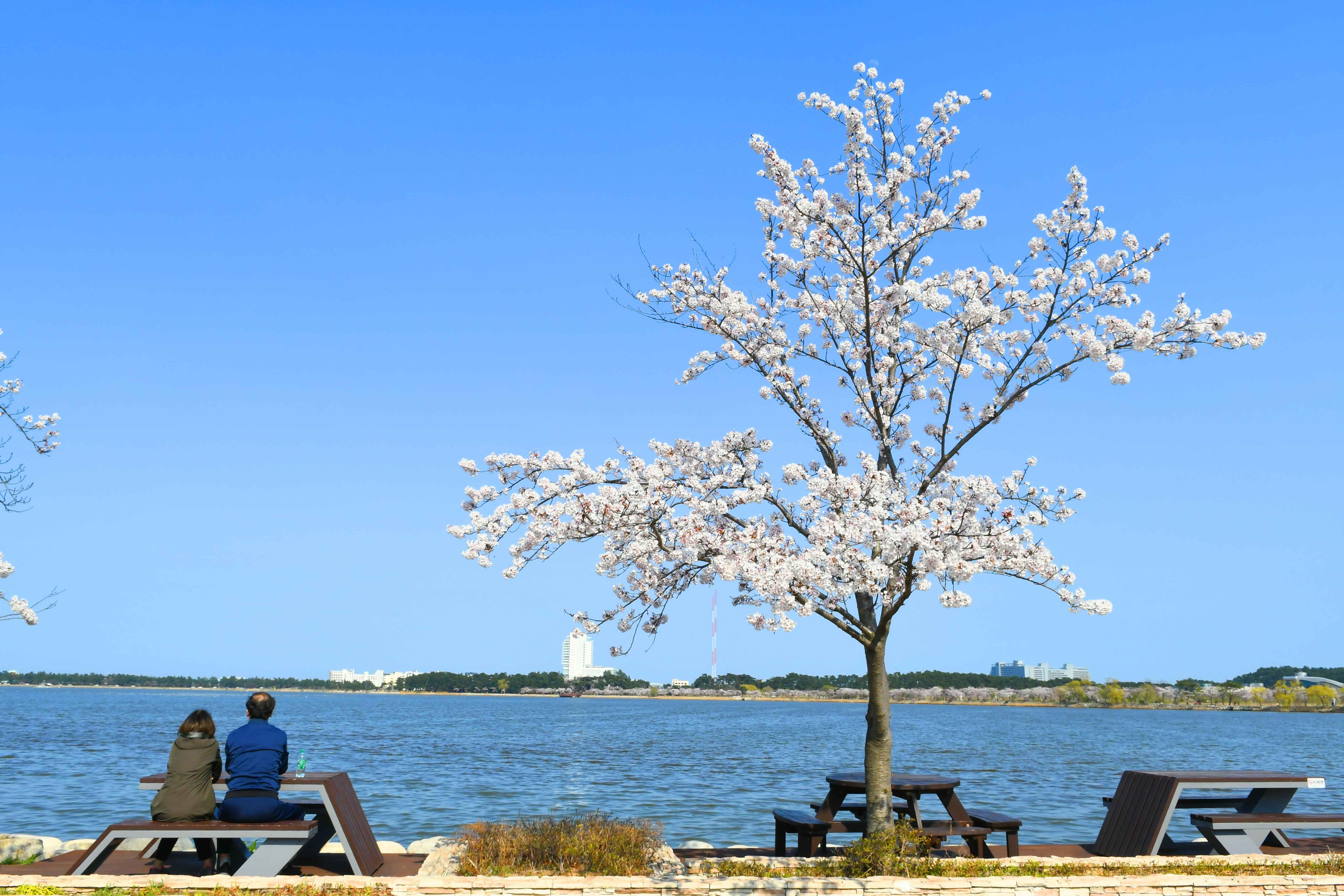 Type1_???? ????_????????_l4HILa.jpg