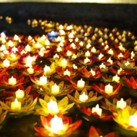 ??? ???? ???? ???? ????_????.jpg