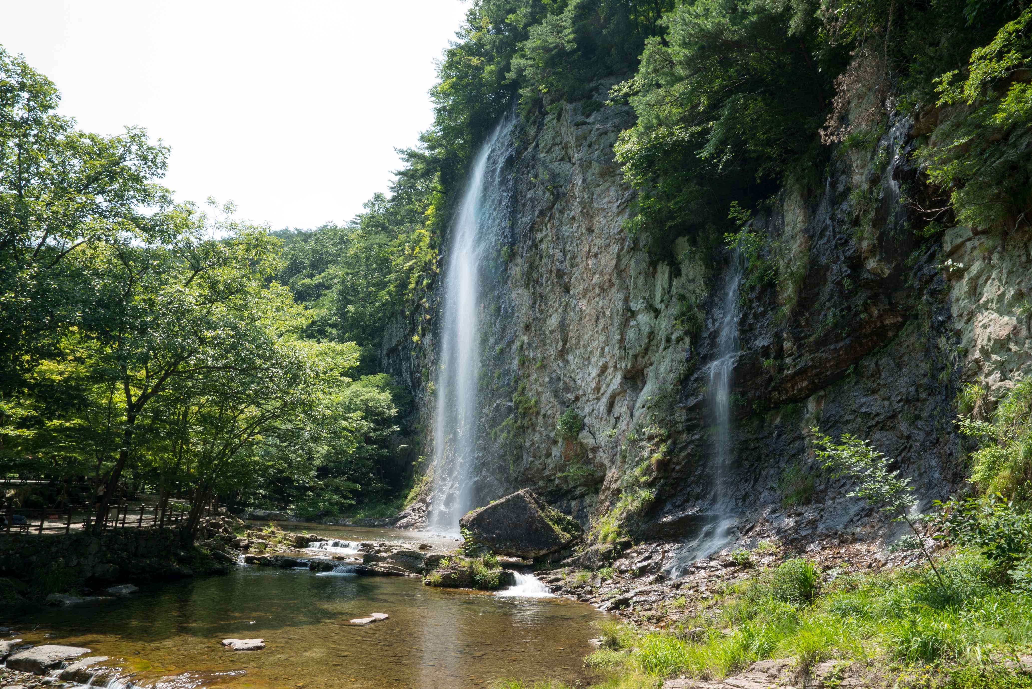 Type1_??o?? ????????_??????????? ?????_NM5dna.jpg