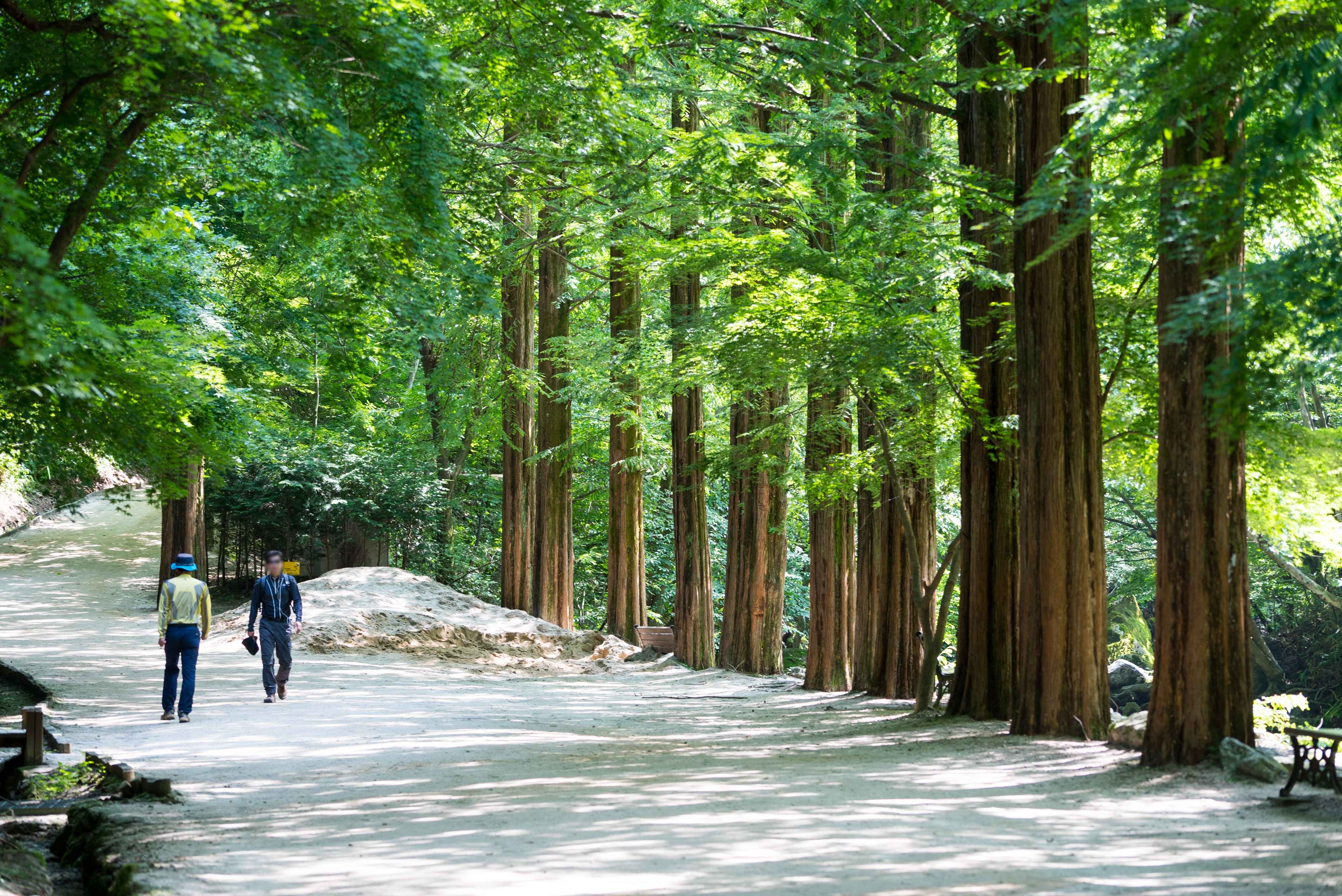 Type1_??o?? ????????_??????????? ?????_NM5dza.jpg