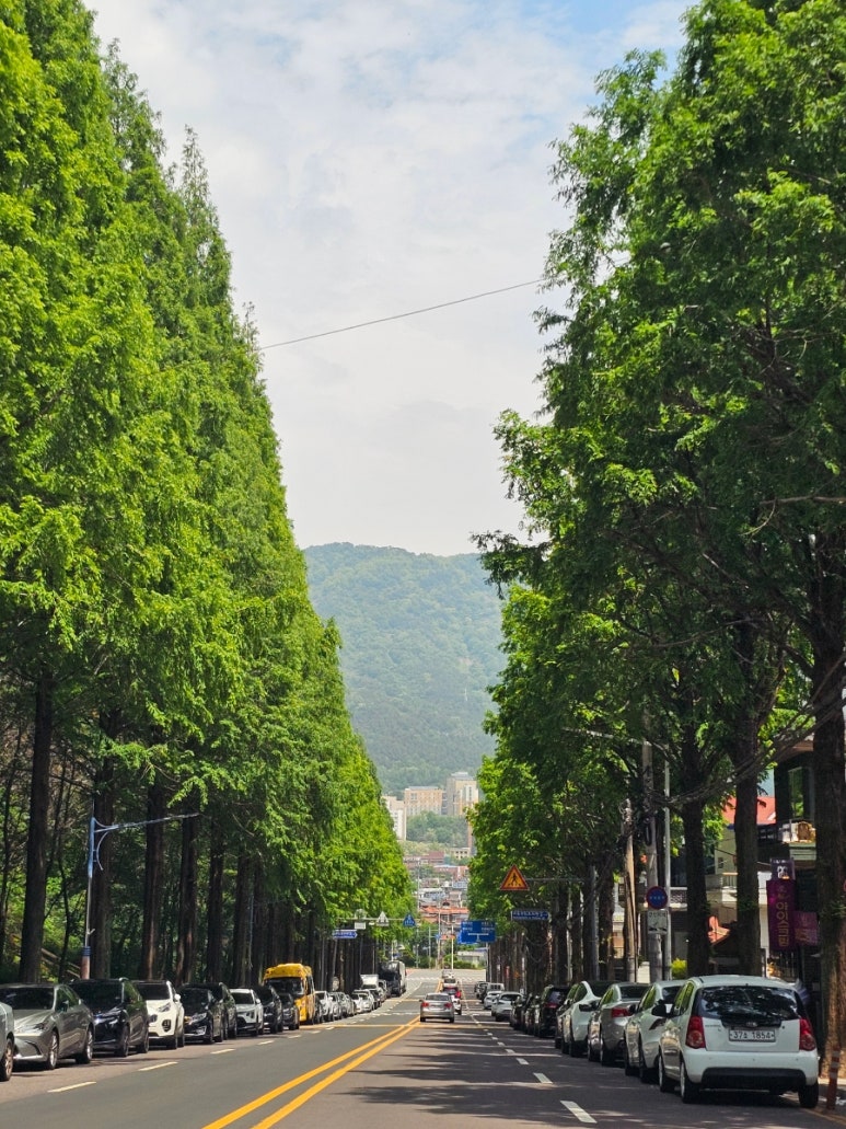 a?????��???_Sim Plan Haking get.jpg