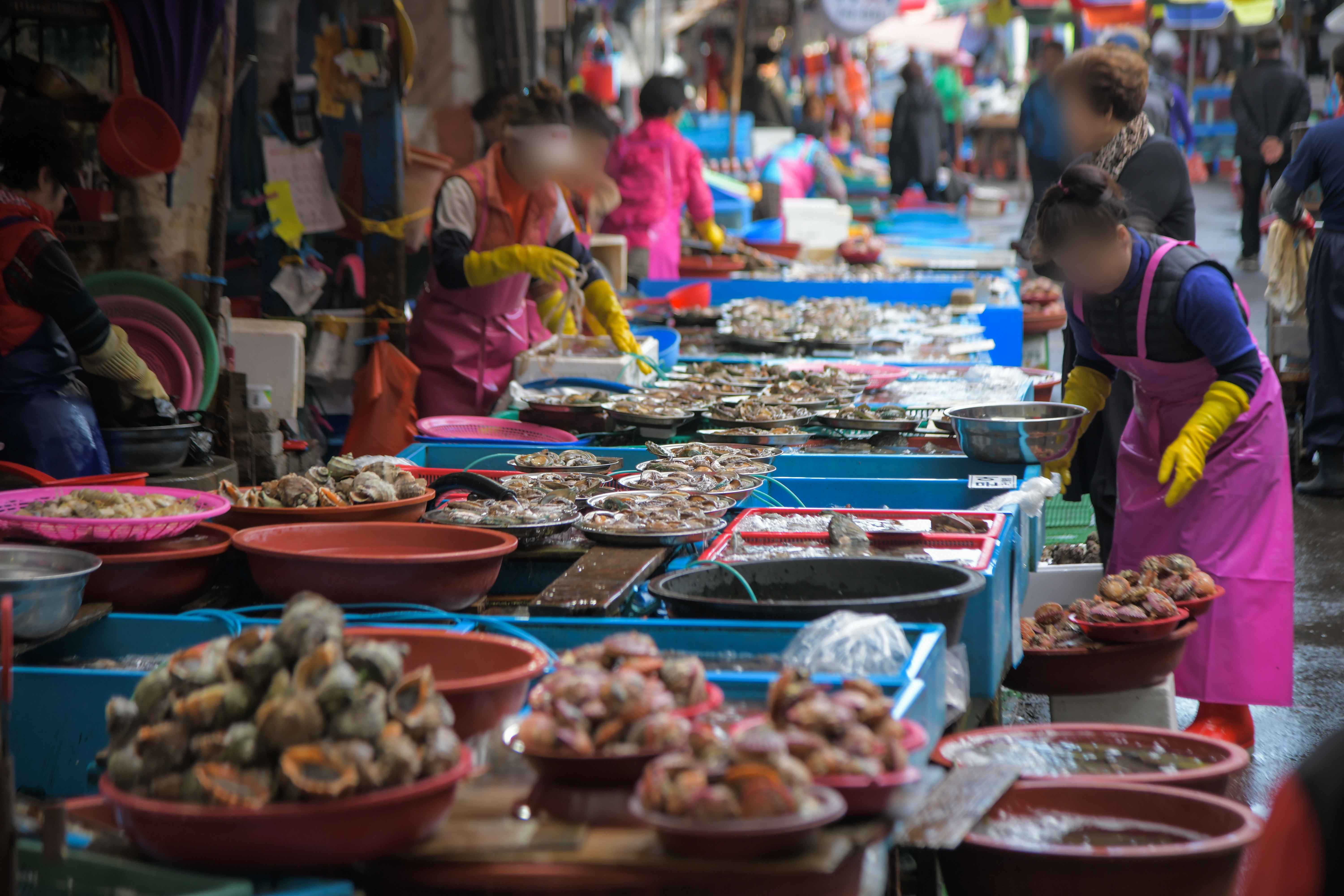 Type1_???? ?????_?��?_IOY0Da.jpg