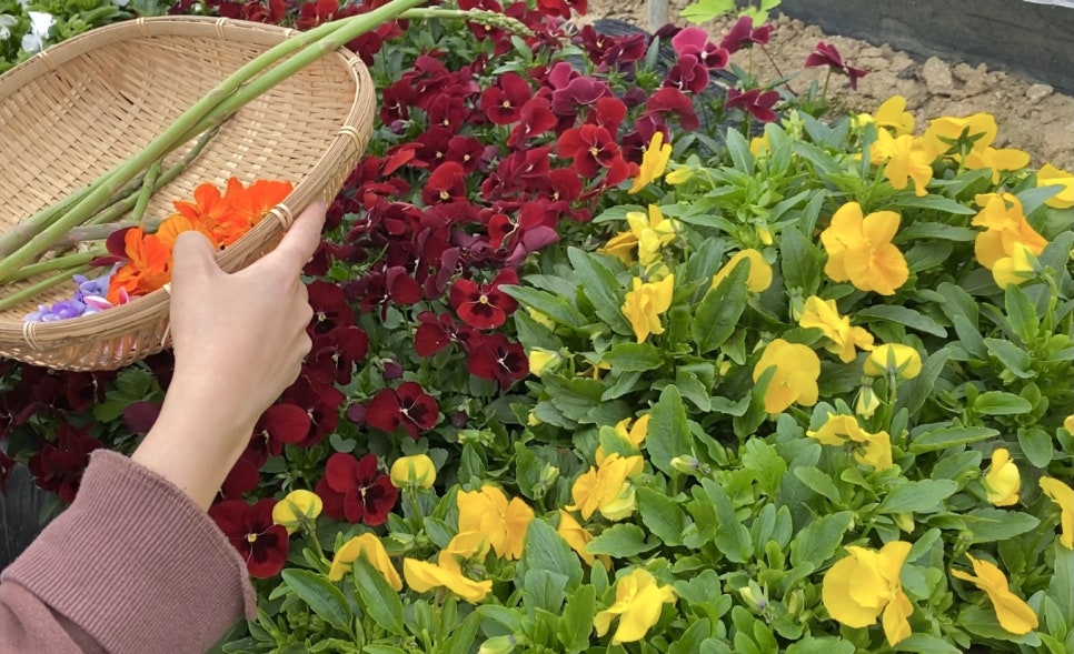 ???????????_??????????��? 1.jpg