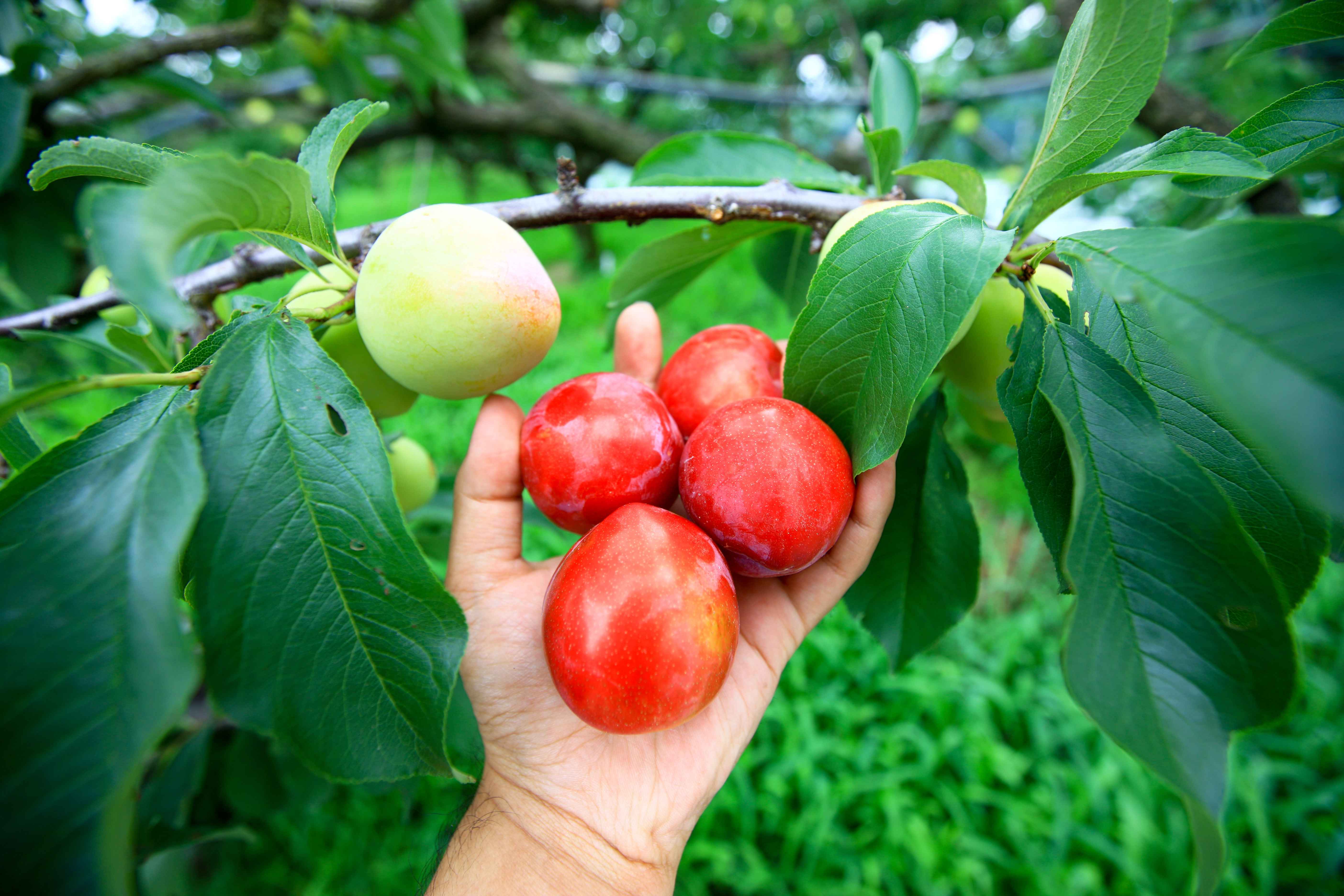 ???_??????????? ????????? ?????.jpg