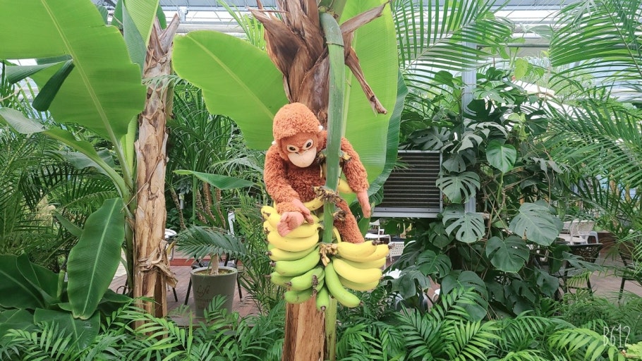 ?????????_??��?_???????? ???.jpg