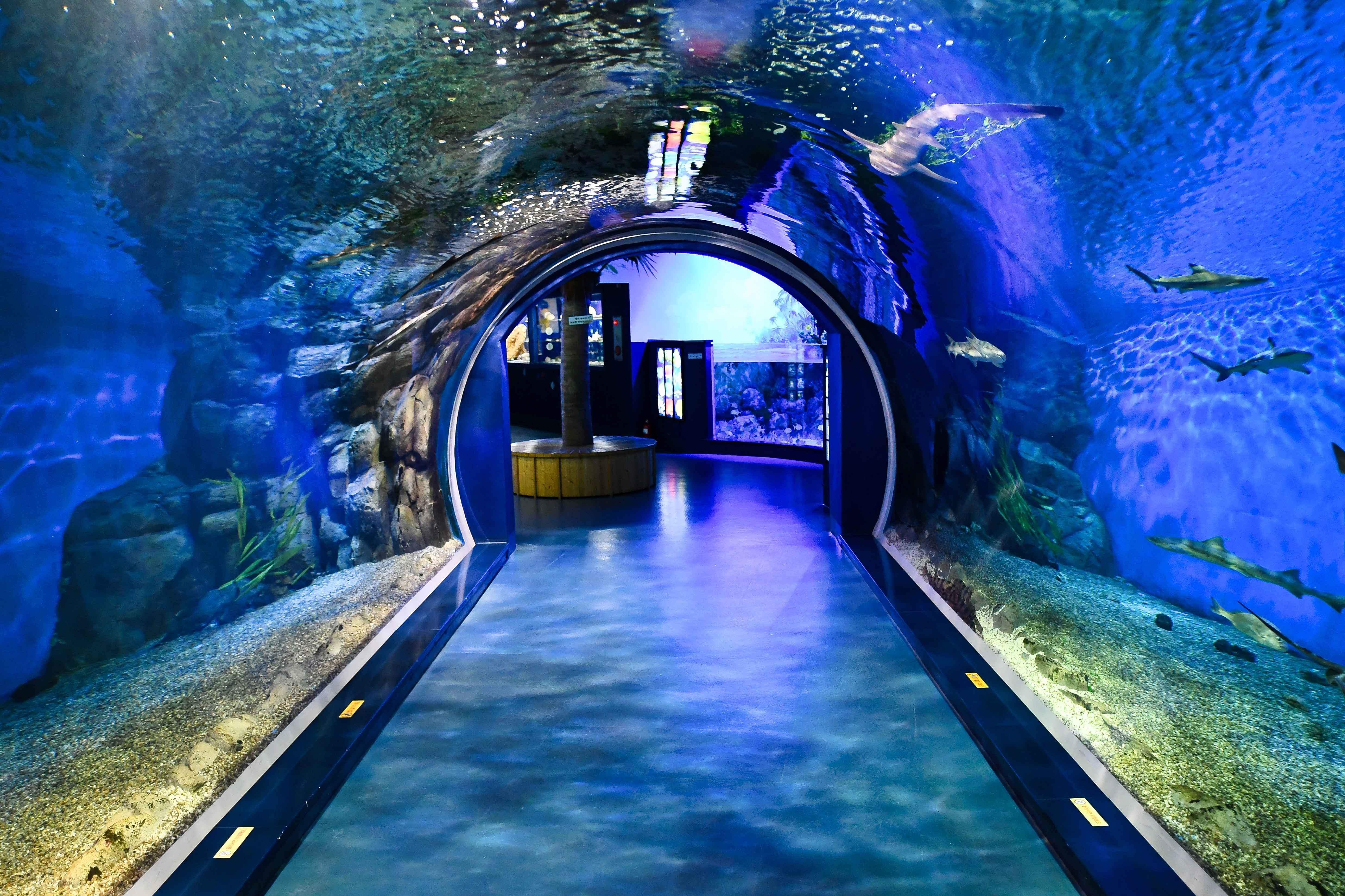 ??????????2_??????????? ????????? ????��????.jpg.jpg