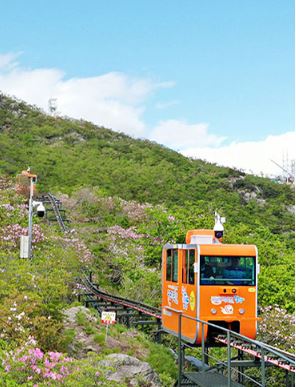 ??????????? ??�f??_???????.jpg