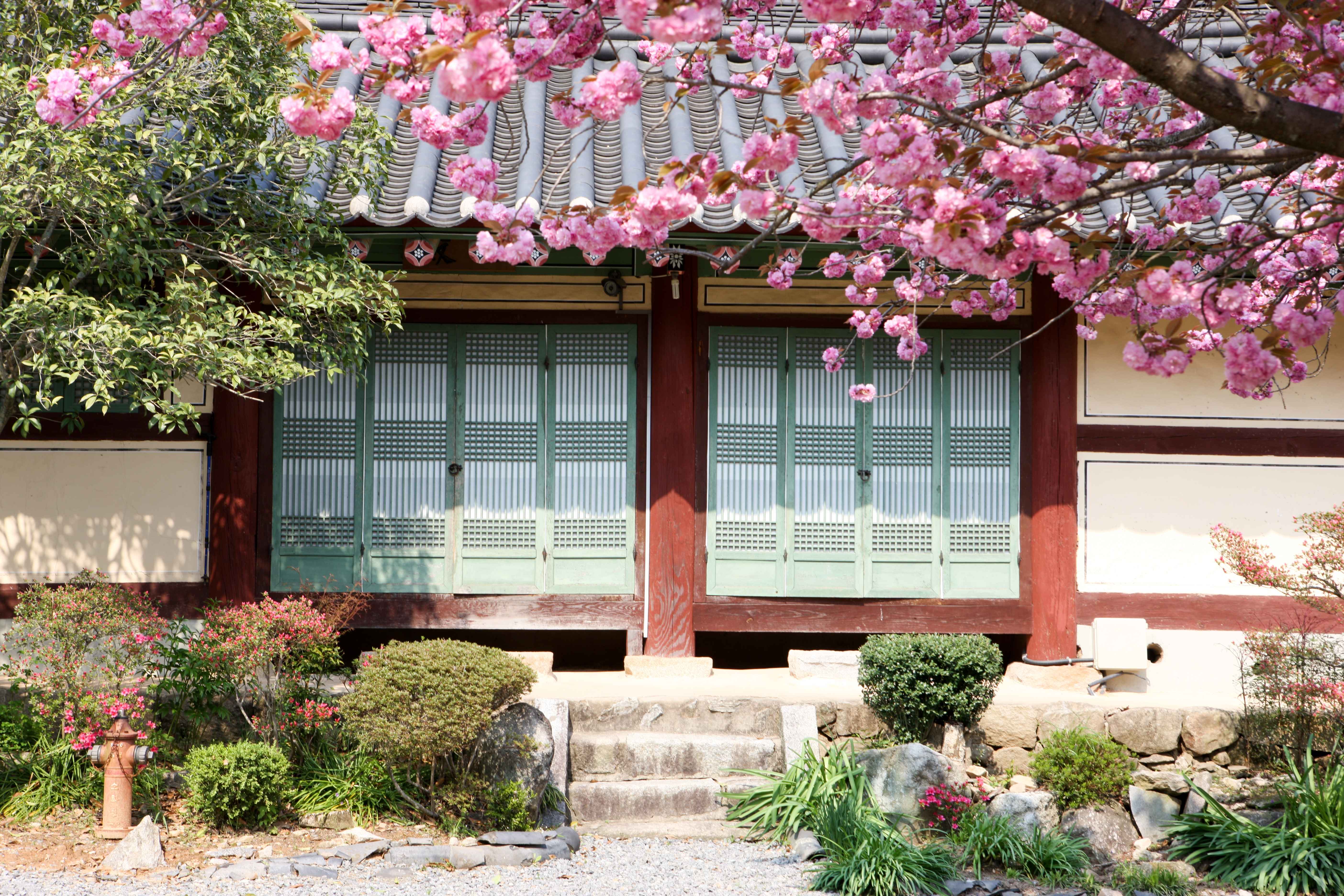 Type1_?????_??????????? ?????_BCdYGa.jpg