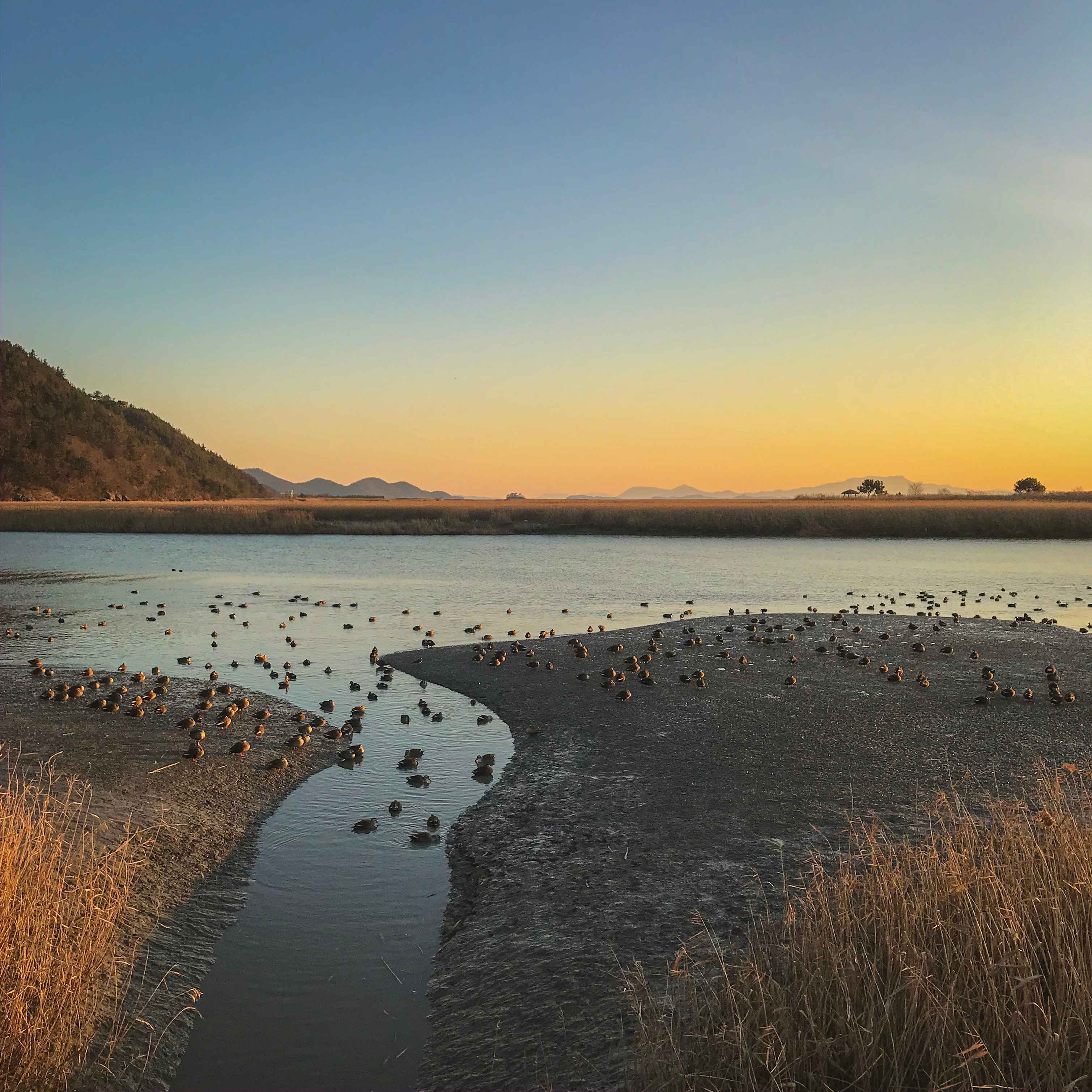 Type1_??o??????_??????????? ?????_Z0QYMa.jpg