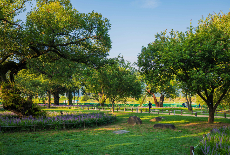 Type1_???? ??�r ?????_?????_WcivLv.PNG