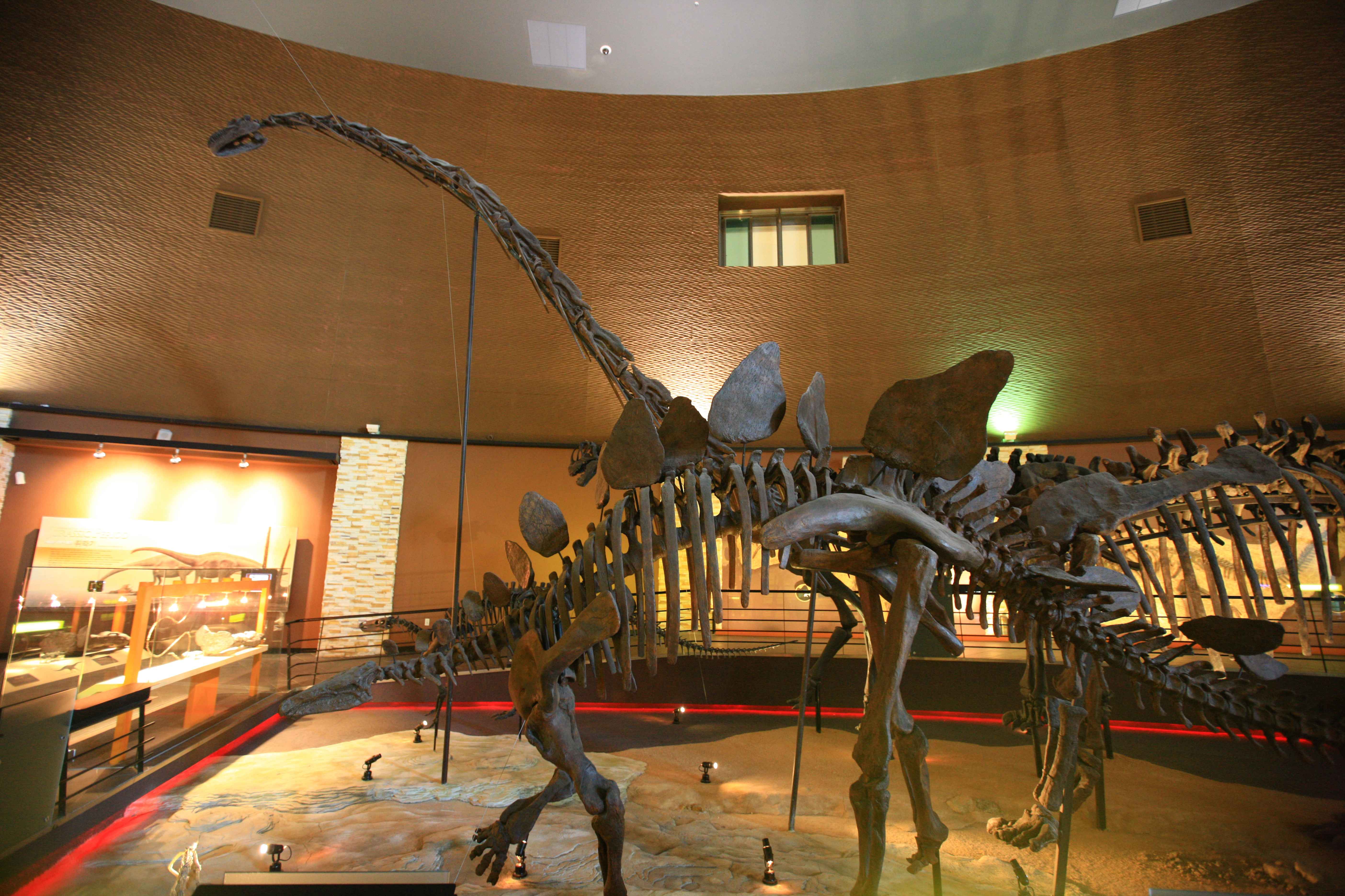 Type1_???????????_??????????? ?????_AqIfca.jpg