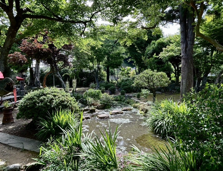 ?????? ????_?????.jpg