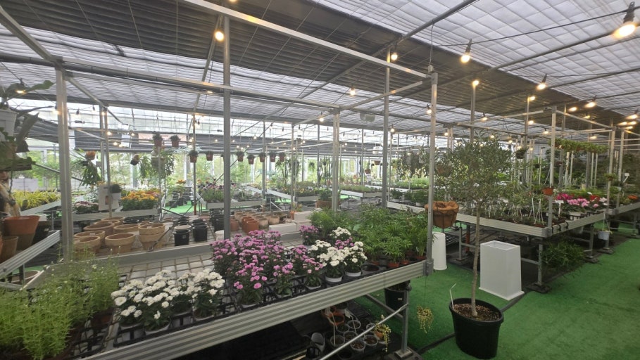 ???? ?��?????_happyjeju1004 ??��?.jpg