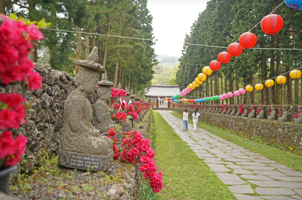 ??????2_??????? ?o??.JPG