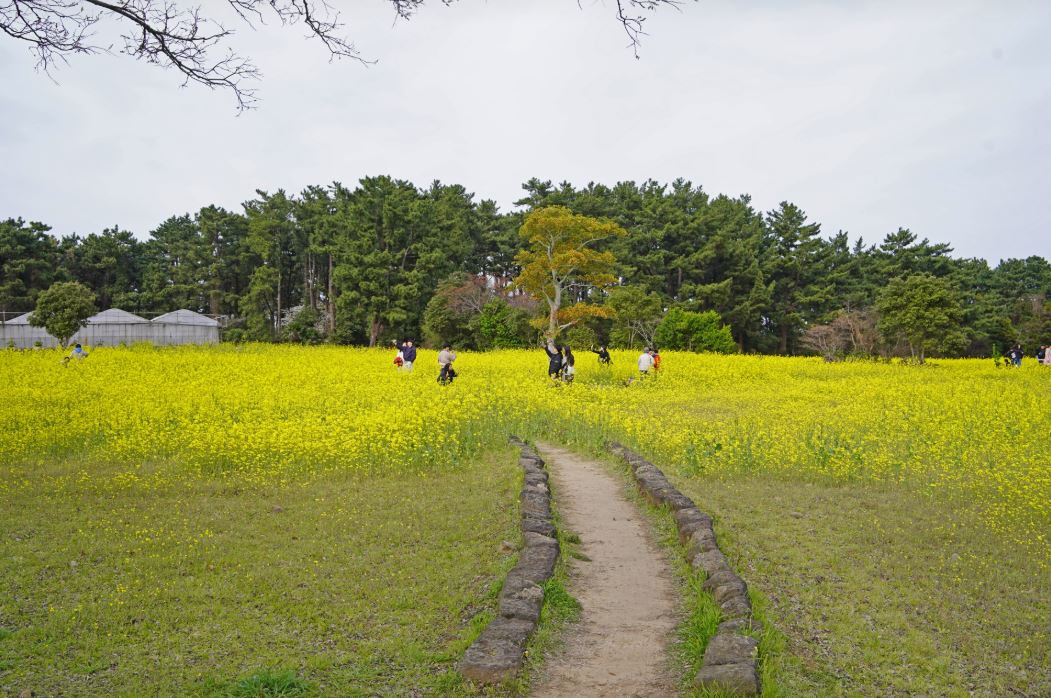 ????��? ?????????_??????? ?o??.JPG