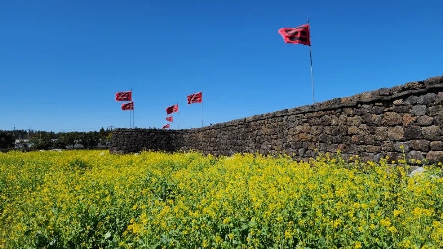 ?????��????_?????? ???.jpg