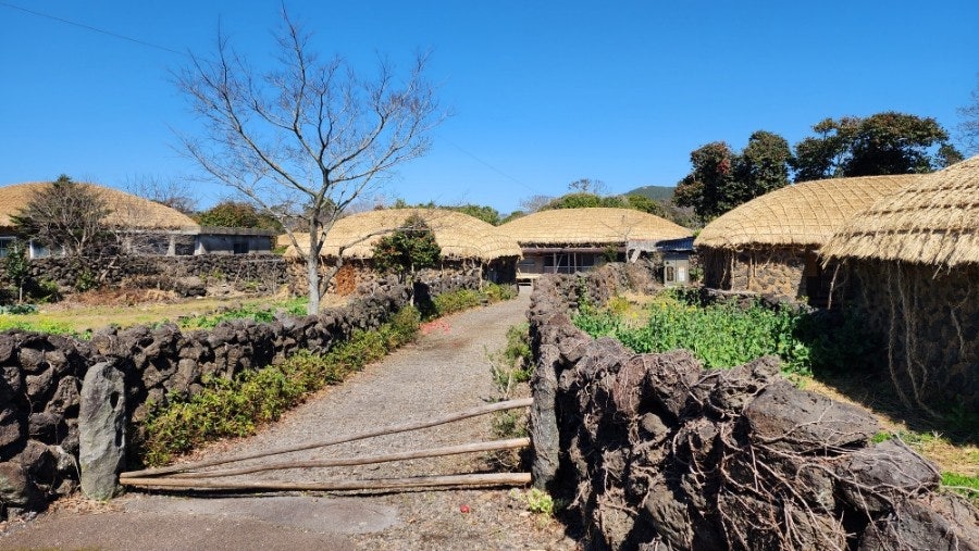 ?????��????2_?????? ???.jpg