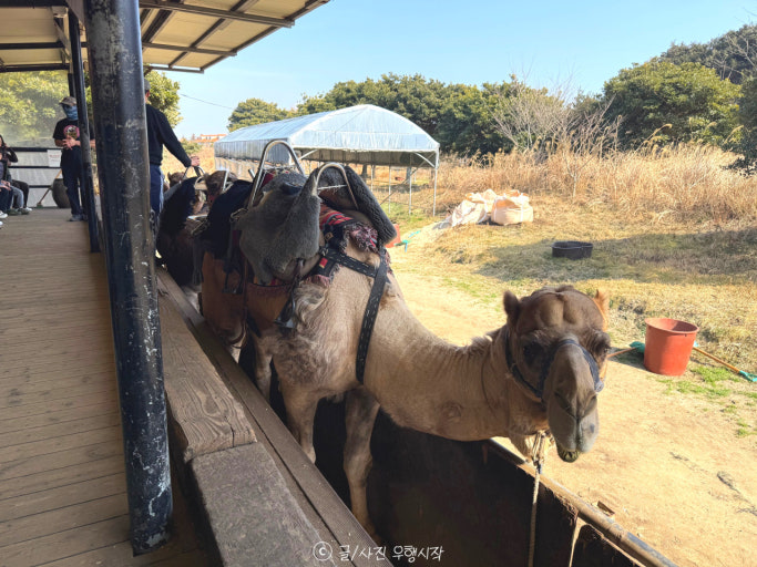 ???u??_?�C?? ???? ?��? ????.jpg