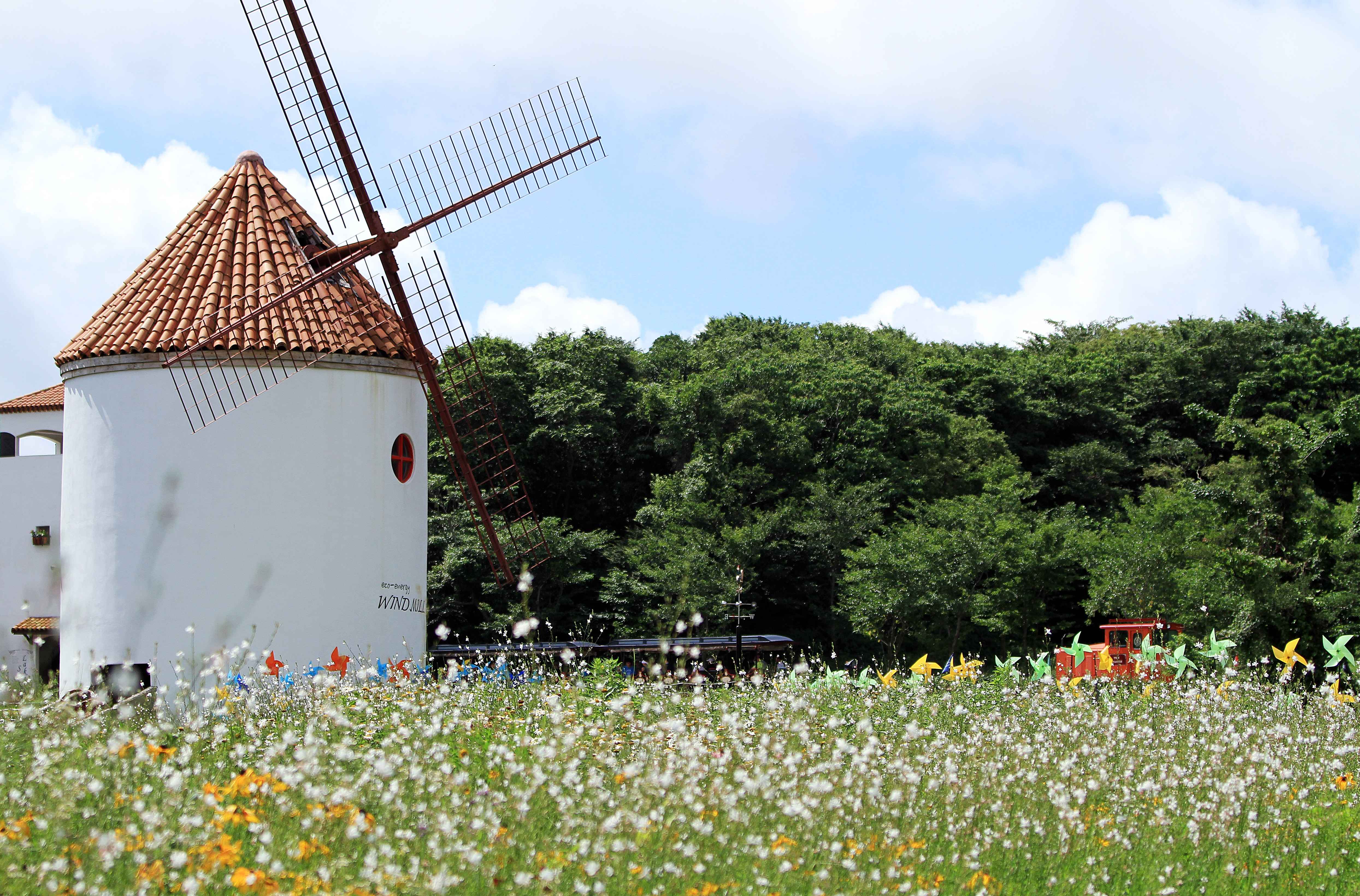 Type1_?????????????_??????????? ??????_A8qyba.jpg