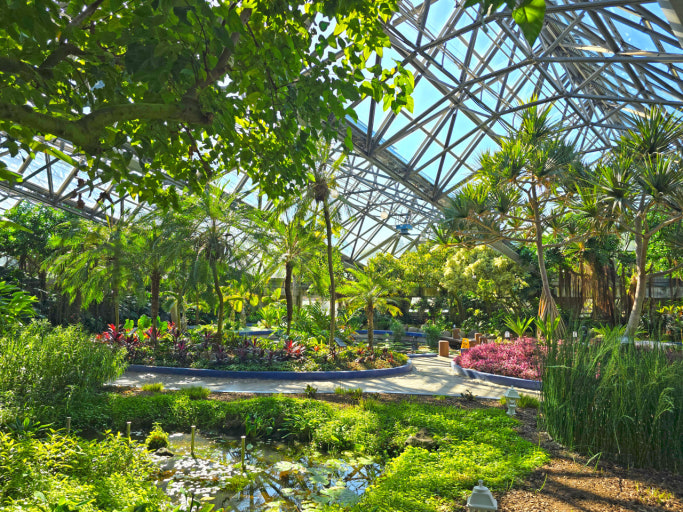 ???????????2_??????? ?o??.jpg